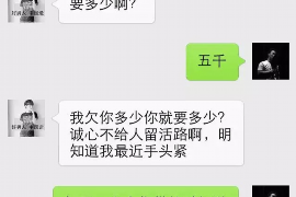 皇姑企业清欠服务